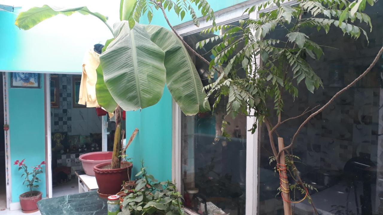 Tara Guest House Βαρανάσι Εξωτερικό φωτογραφία